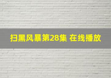 扫黑风暴第28集 在线播放